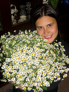Цветы