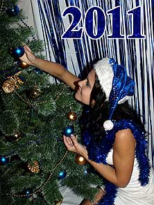 НГ2011