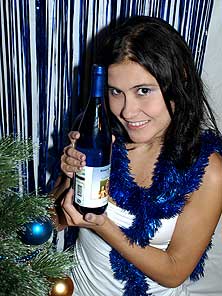 НГ2011