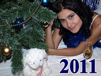НГ2011
