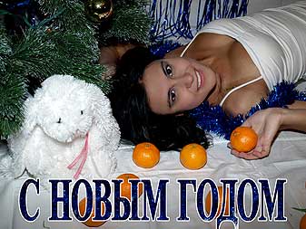 НГ2011