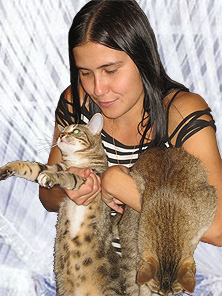 Кошки