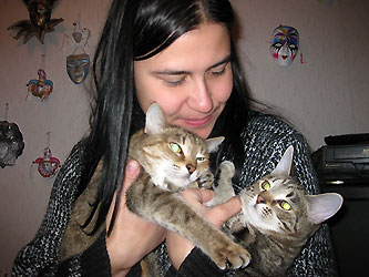 КОшки