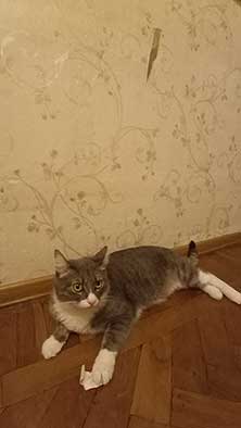 Ремонт