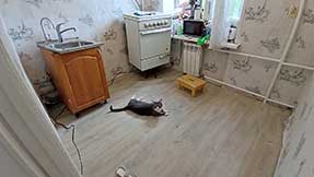 Ремонт