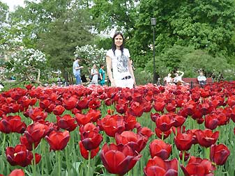 Кремль