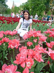 Кремль