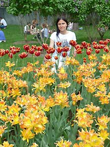 Кремль