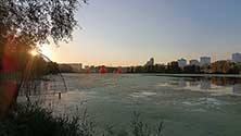 Остров мечты