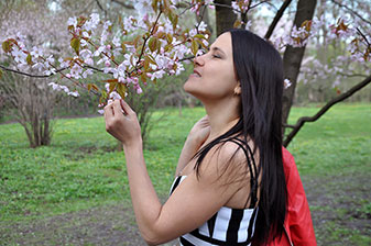 Сакура