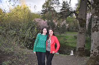 Сакура