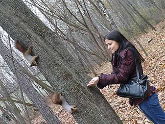 Белочка