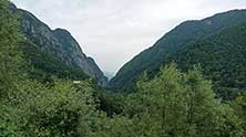 Адлер