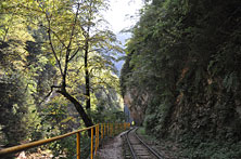 Гуамка