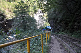 Гуамка