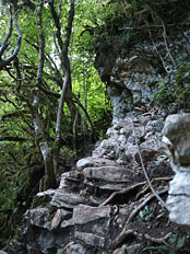 Гуамка