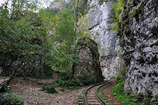 Гуамка