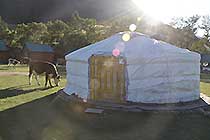 Кочевник
