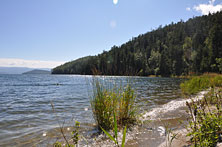 Крестовая