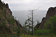 Скрипер