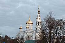 Пуща