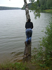 Береза