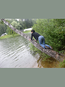 Береза