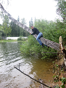 Береза