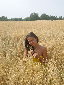 Дача