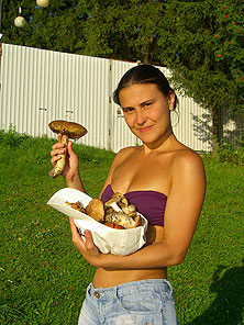 Грибы