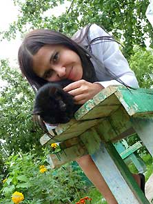 Кот