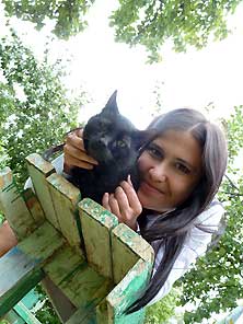 Кот