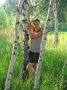 Березки