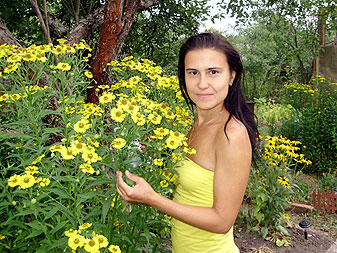 Ситенка