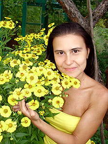 Ситенка