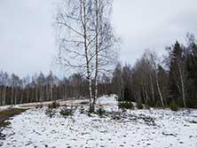 Апрель