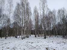 Апрель
