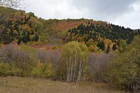 Домбай