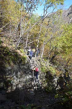Аманаус