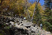 Аманаус