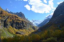Аманаус