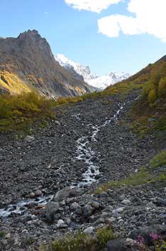 Аманаус