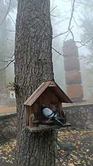 Железноводск