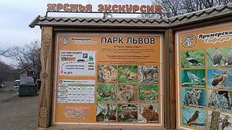 Сафари