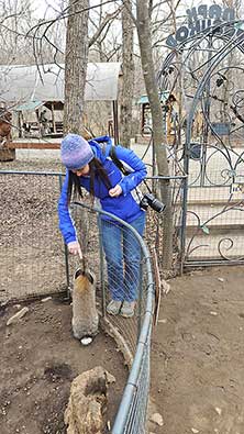 Сафари