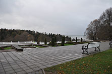 Тойла