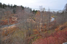 Тойла
