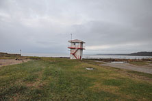 Тойла