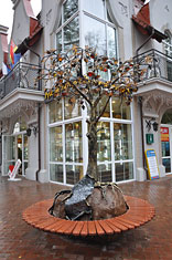 Светлогорск