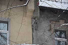 Калининград